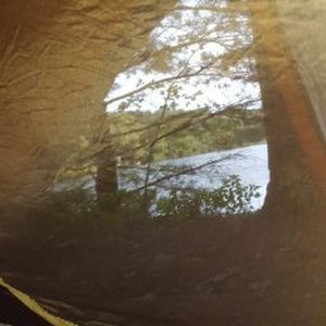 Meet your Posher, Carl